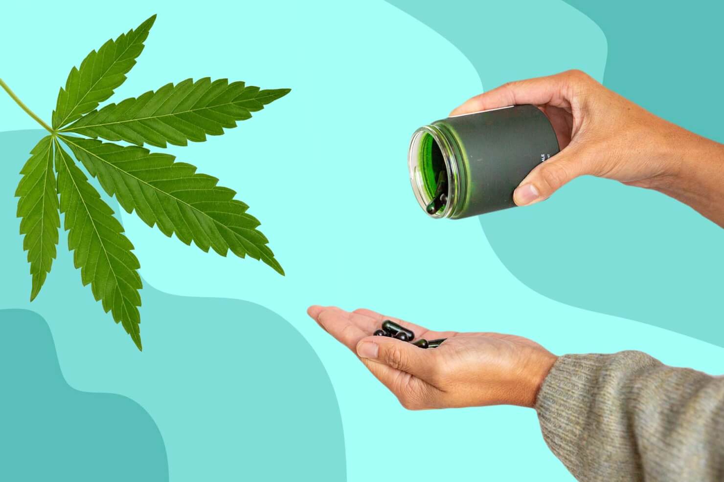 CBD Öl Kapseln Meduni Test und Auswahl