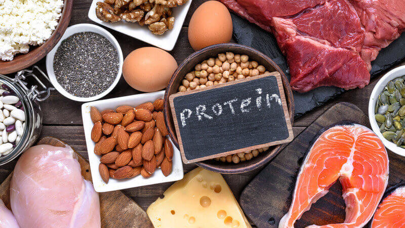 aminosaeuren-und-proteine