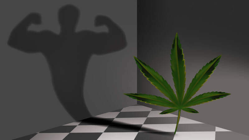 cbd-kapseln-als-unterstuetzung-im-fitnessstudio
