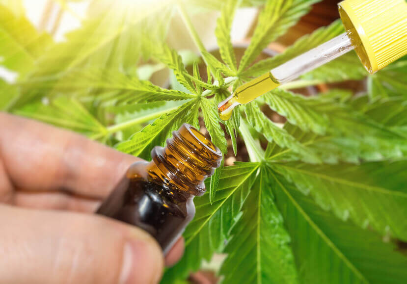 cbd-cannabis-oil-in-pipette-against-marijuana-plant