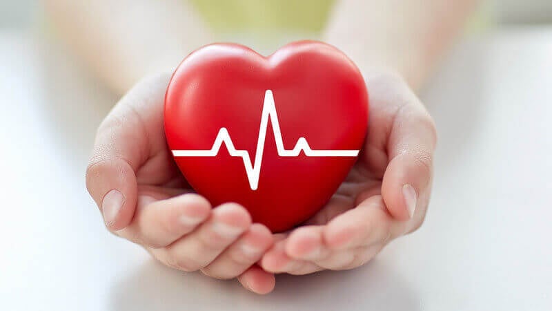 Omega-3-Fischöl für Stoffwechsel und Herz-Kreislauf-System