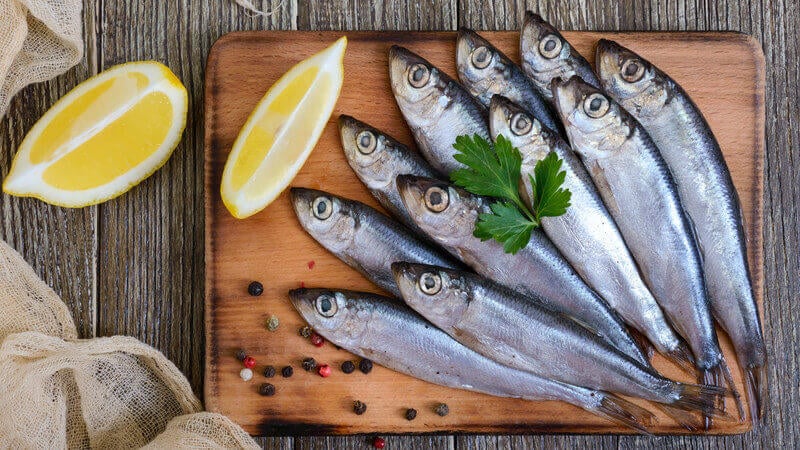 Sprotte 3080 mg EPA und DHA pro 100 g