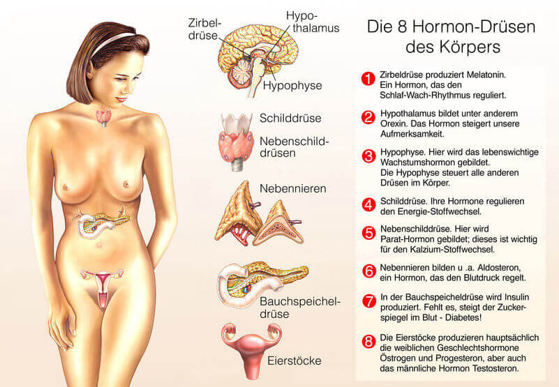 wirkung-tageslichtlampen-auf-hormonproduktion-des-koerpers